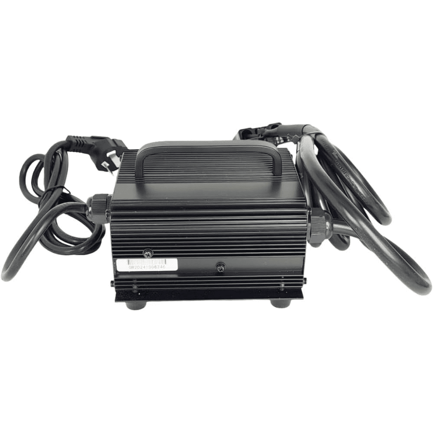 Cargador de batería de litio estándar Raelon SWCH24V10A-B-75X 24V 10A