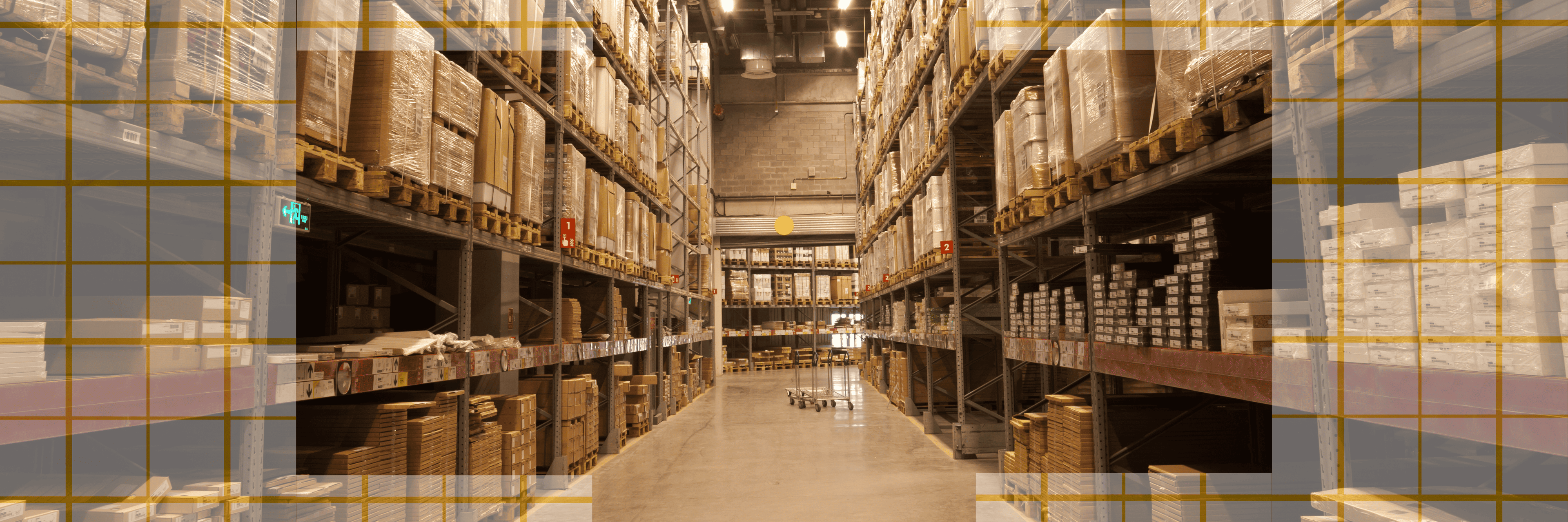 Raelon team providing customized electric pallet jack and pallet truck solutions for warehouses and industrial operations, focused on innovation and customer success.
