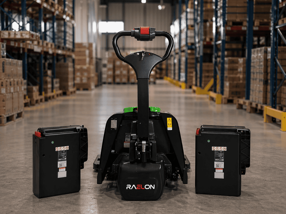 Raelon F4-201 with two removable lithium-ion batteries